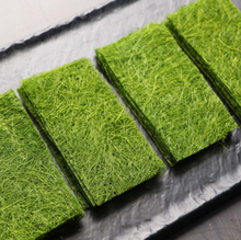 將圖片載入圖庫檢視器 자연산 서산 태안 햇 구운감태 1봉 20g (8장)
