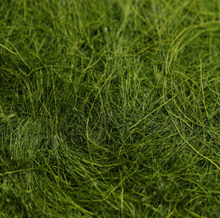 將圖片載入圖庫檢視器 자연산 햇 건조감태 1봉 (10장)
