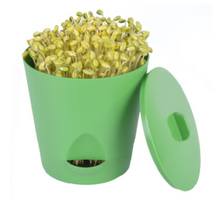 將圖片載入圖庫檢視器 그린 콩나물 재배기 (중형), 국산 무농약 콩나물콩 600그램
