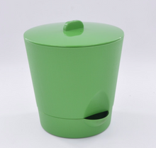 將圖片載入圖庫檢視器 그린 콩나물 재배기 (중형), 국산 무농약 콩나물콩 600그램
