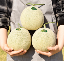 將圖片載入圖庫檢視器 GAP 인증 머스크메론 3.5kg
