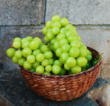 將圖片載入圖庫檢視器 수출용 샤인머스켓 망고포도 선물세트 2kg
