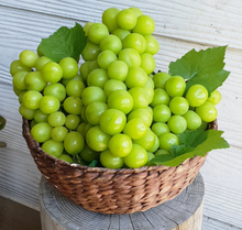 將圖片載入圖庫檢視器 수출용 샤인머스켓 망고포도 선물세트 2kg
