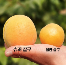 將圖片載入圖庫檢視器 슈퍼 살구 프리미엄 난주대행
