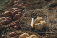 將圖片載入圖庫檢視器 [맛있는녀석들] 원조 강원도 춘천감자빵 택배 (오리지널 / 카레맛)
