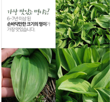 이미지를 갤러리 뷰어에 로드 , 울릉도 자연산 명이나물 절임 1kg Pickled Natural Siberian Onion from Ullengdo Island
