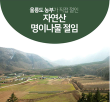 이미지를 갤러리 뷰어에 로드 , 울릉도 자연산 명이나물 절임 1kg Pickled Natural Siberian Onion from Ullengdo Island
